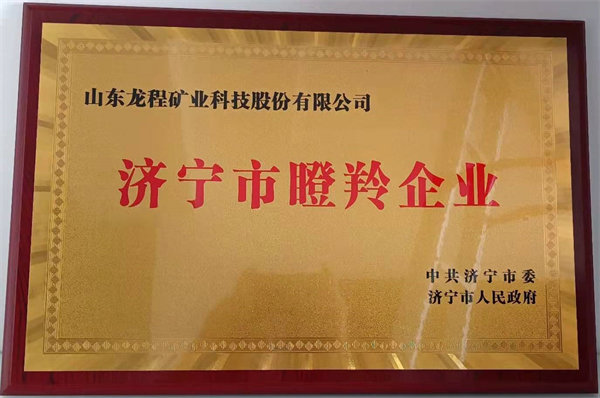 瞪羚企业